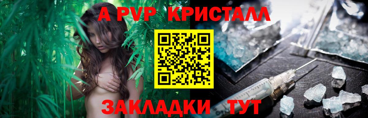 Alfa_PVP СК КРИС Удомля