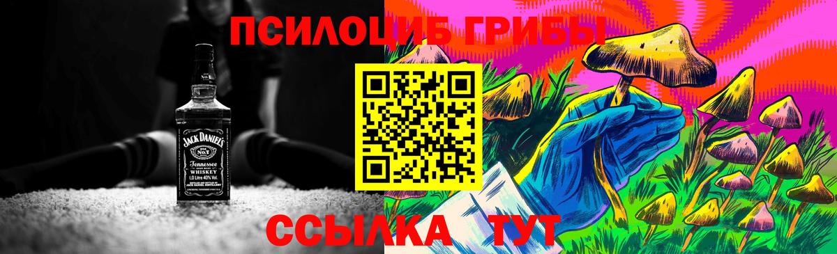 Галлюциногенные грибы прущие грибы  Вход с VPN  Удомля 