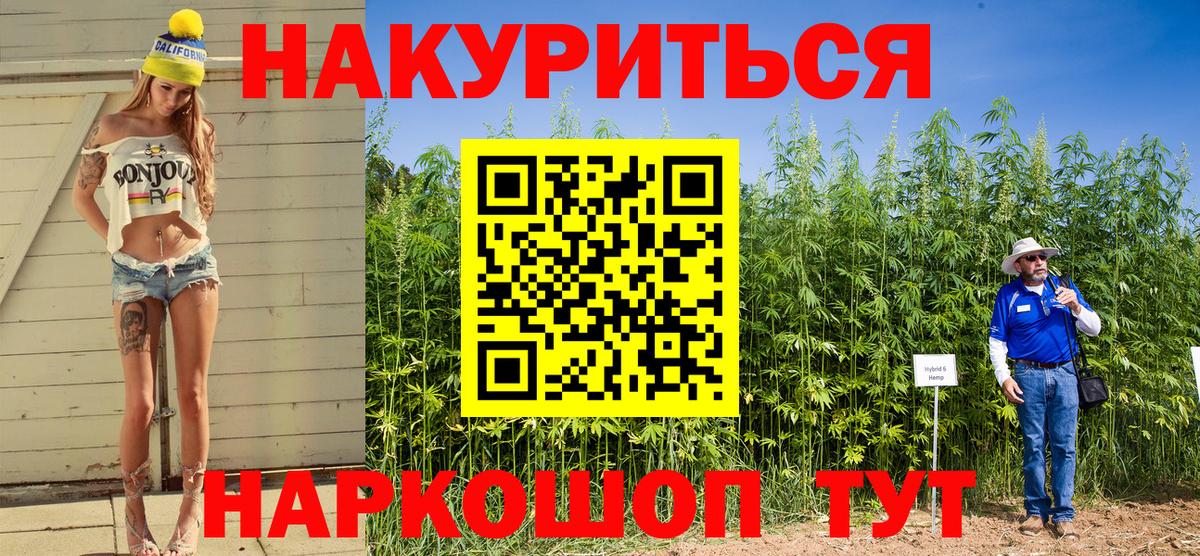 Конопля Bruce Banner  Вход с VPN  МАРИХУАНА тримм  Каннабис Amnesia  Удомля  Марихуана тримм 